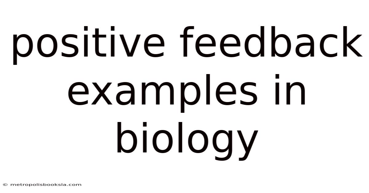 Positive Feedback Examples In Biology