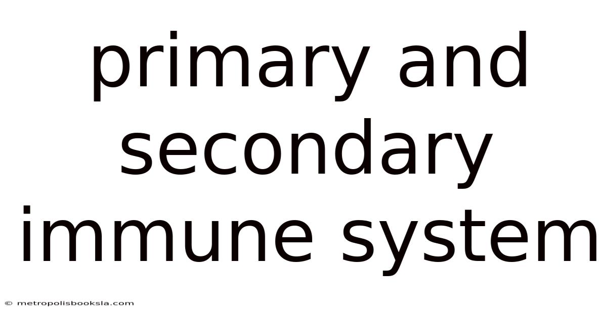 Primary And Secondary Immune System