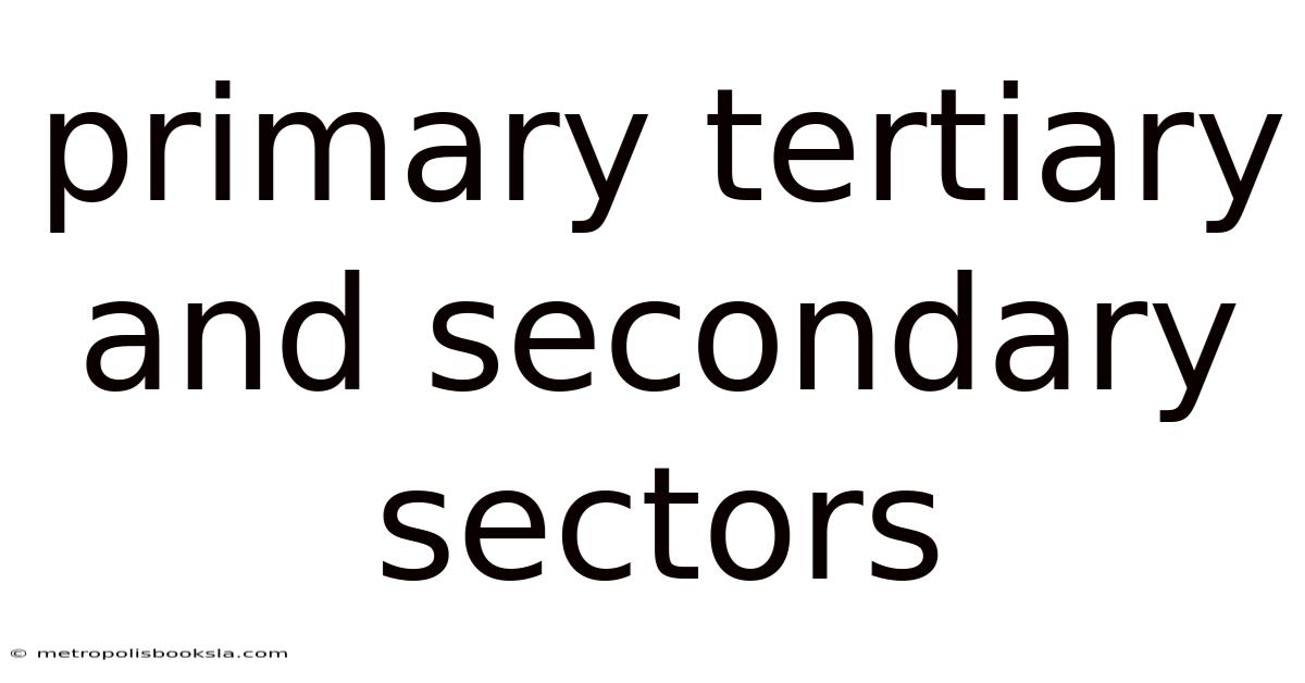 Primary Tertiary And Secondary Sectors