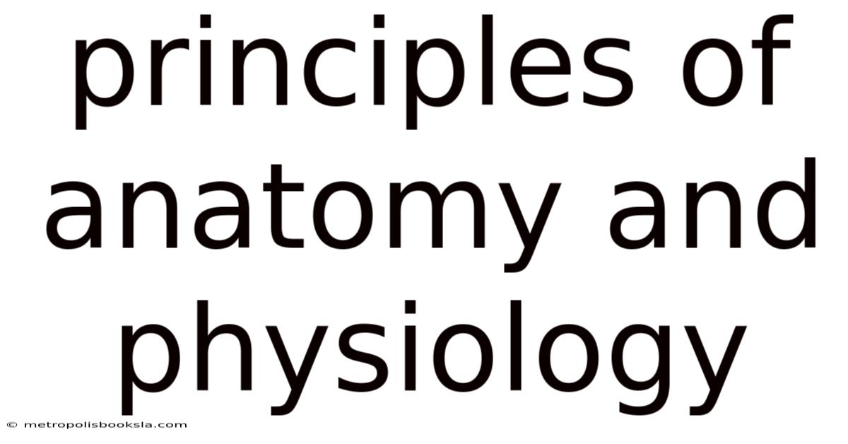 Principles Of Anatomy And Physiology