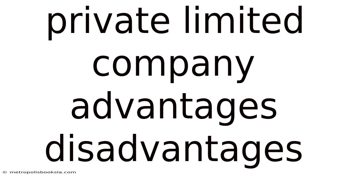 Private Limited Company Advantages Disadvantages