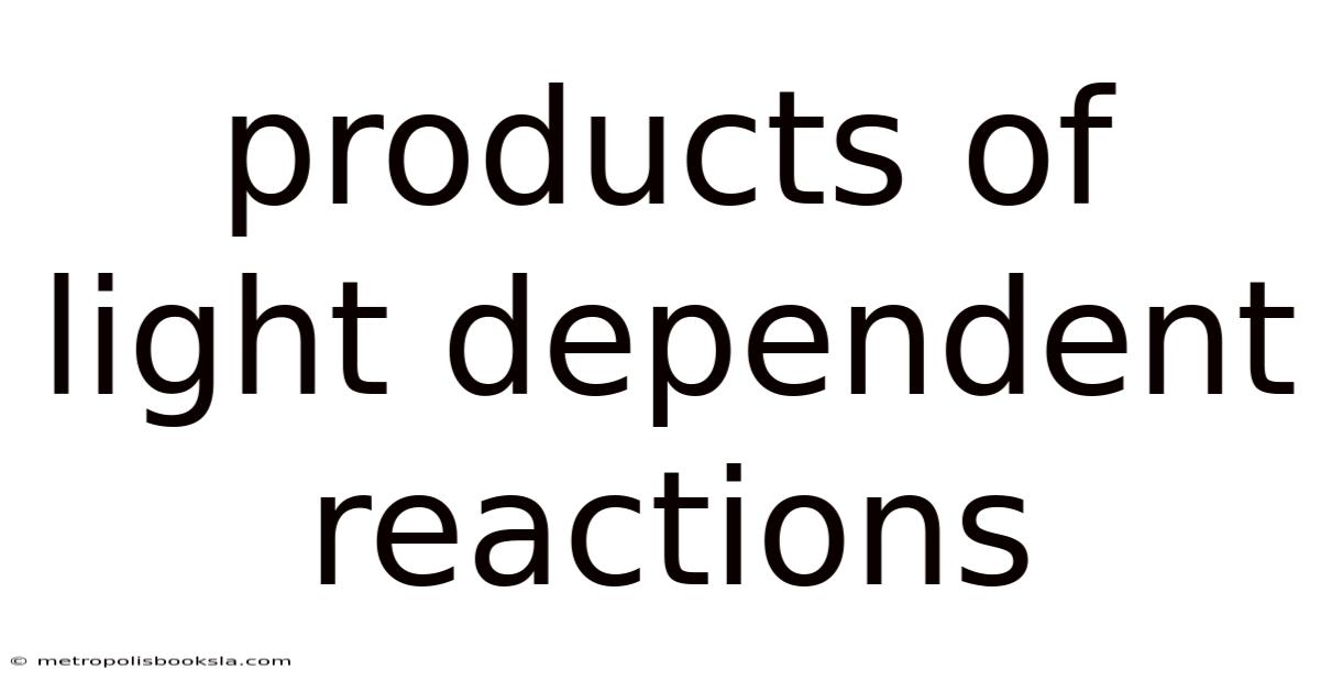 Products Of Light Dependent Reactions