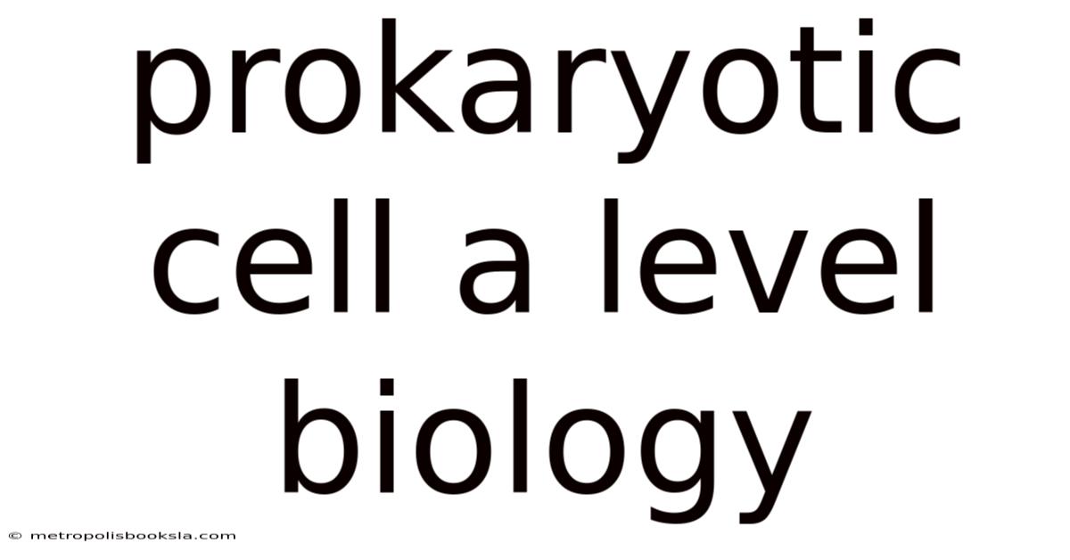 Prokaryotic Cell A Level Biology