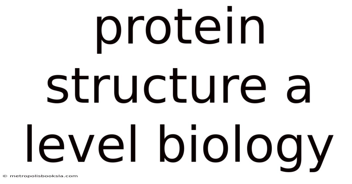 Protein Structure A Level Biology