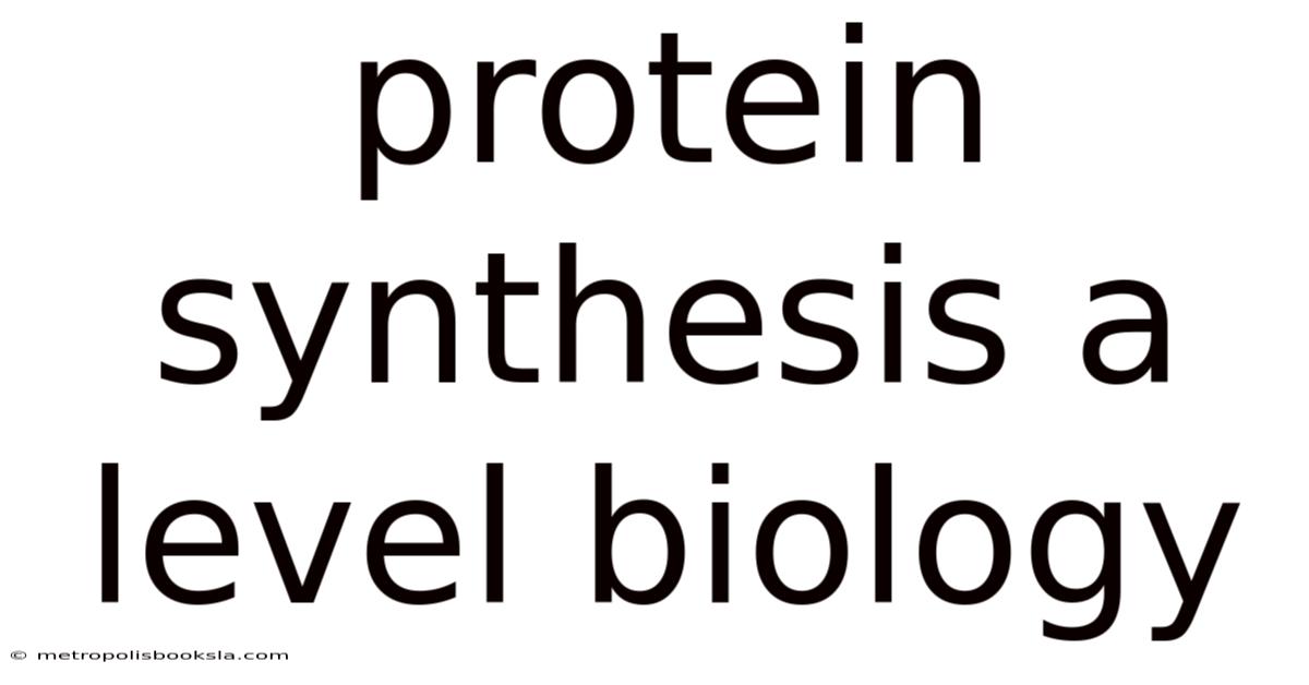 Protein Synthesis A Level Biology