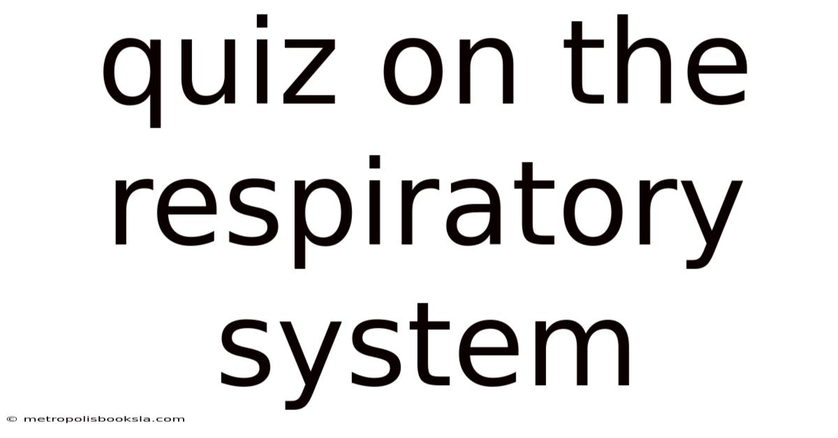 Quiz On The Respiratory System