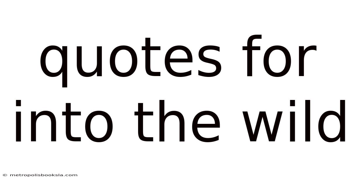 Quotes For Into The Wild