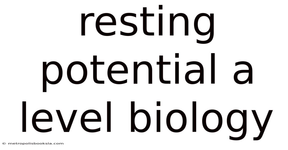 Resting Potential A Level Biology