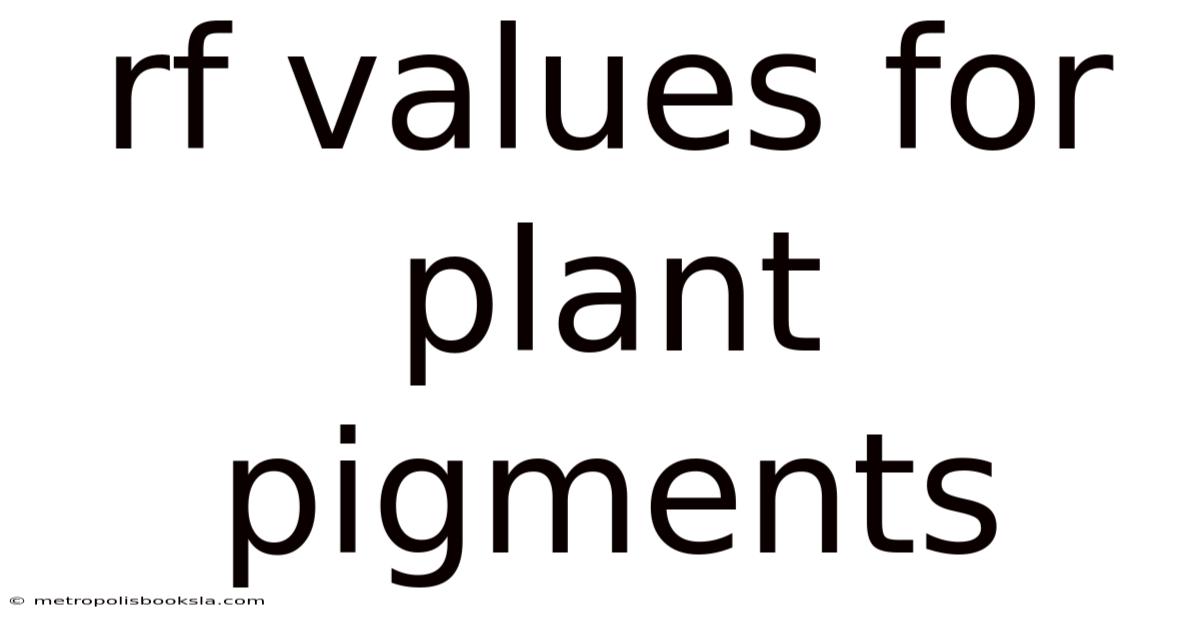 Rf Values For Plant Pigments