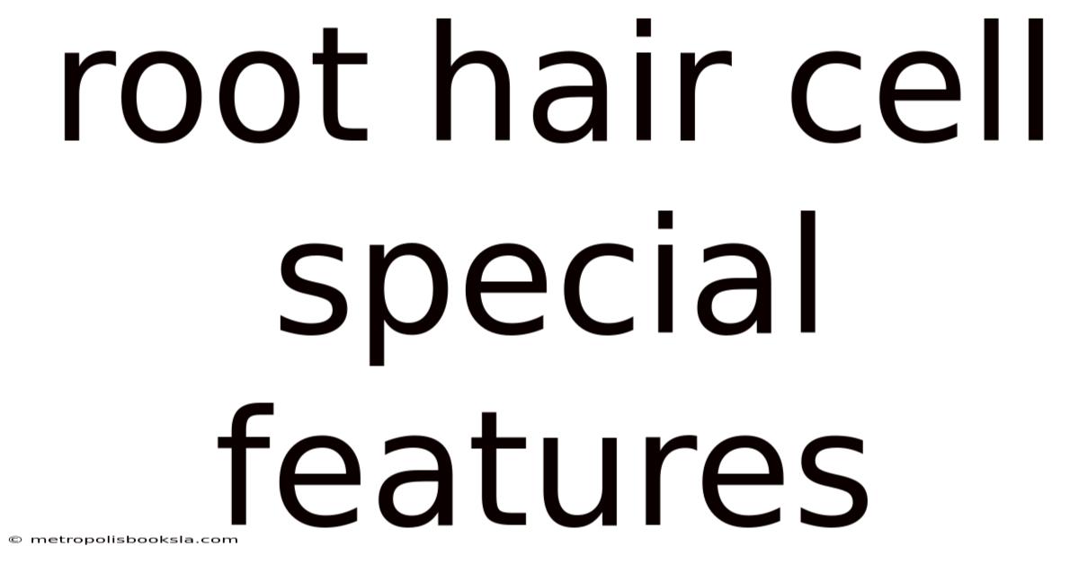 Root Hair Cell Special Features