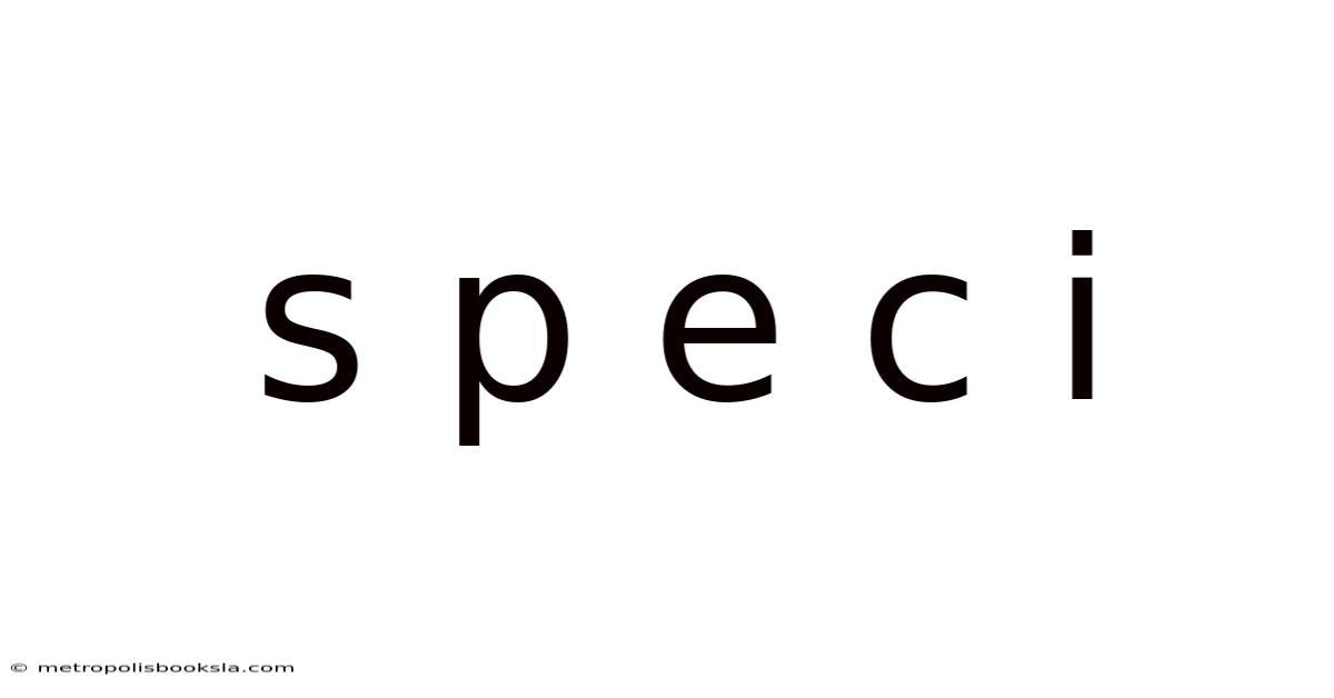 S P E C I