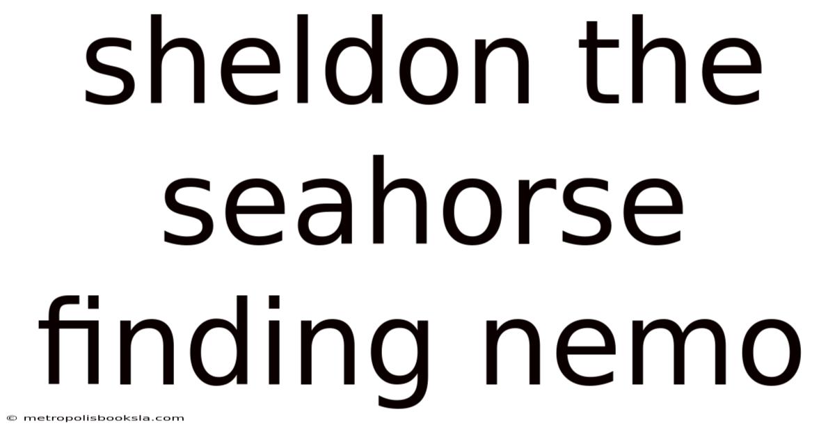 Sheldon The Seahorse Finding Nemo