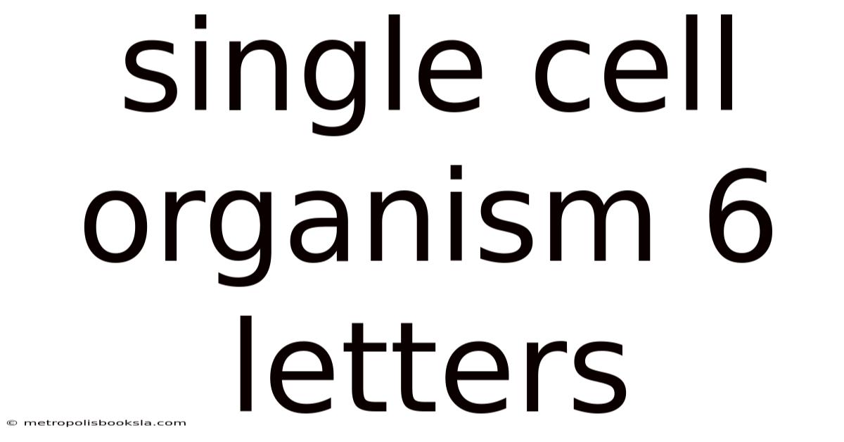 Single Cell Organism 6 Letters