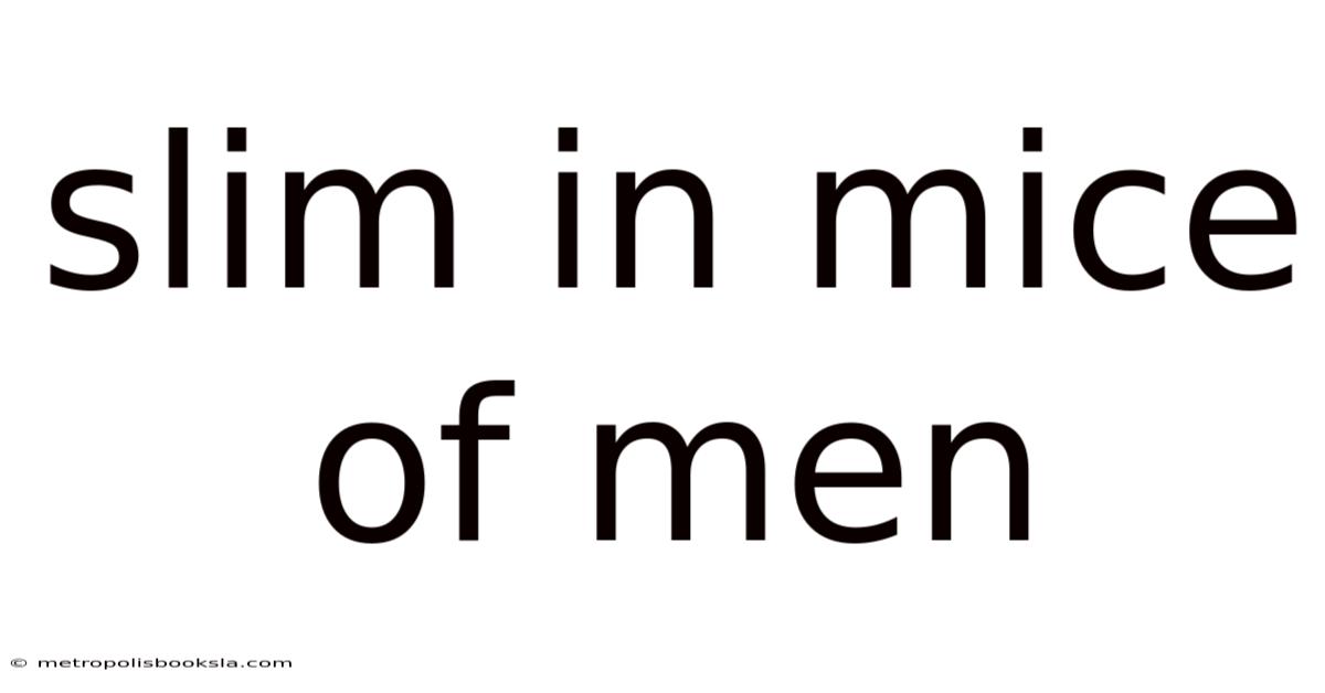 Slim In Mice Of Men