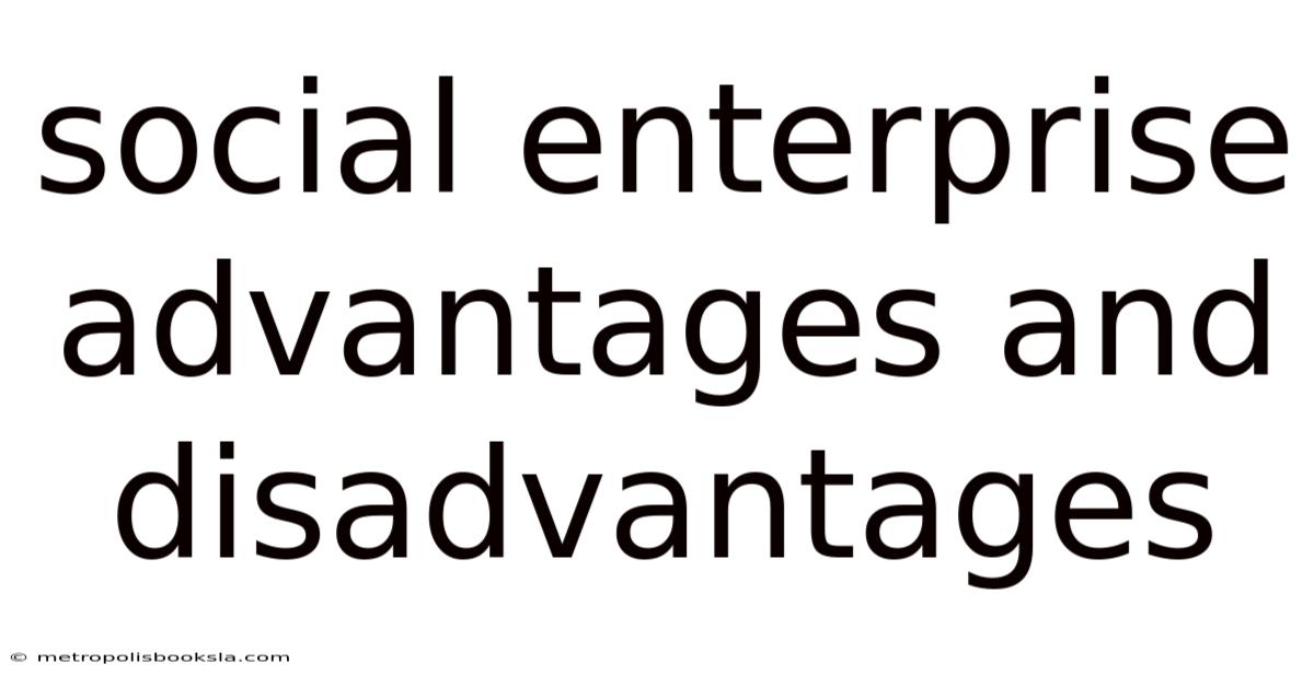 Social Enterprise Advantages And Disadvantages