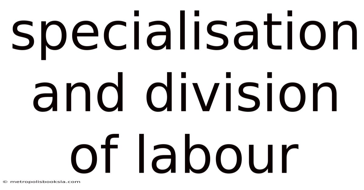 Specialisation And Division Of Labour