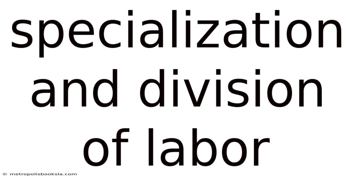 Specialization And Division Of Labor