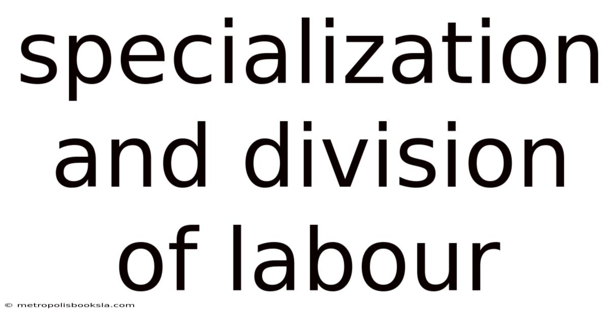 Specialization And Division Of Labour