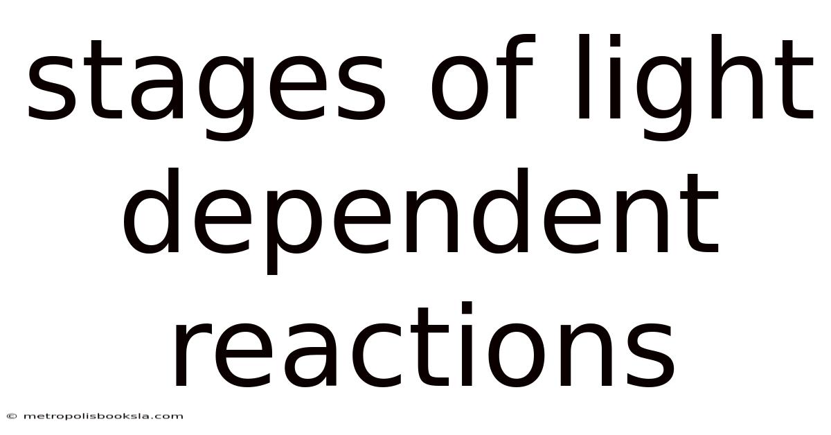 Stages Of Light Dependent Reactions