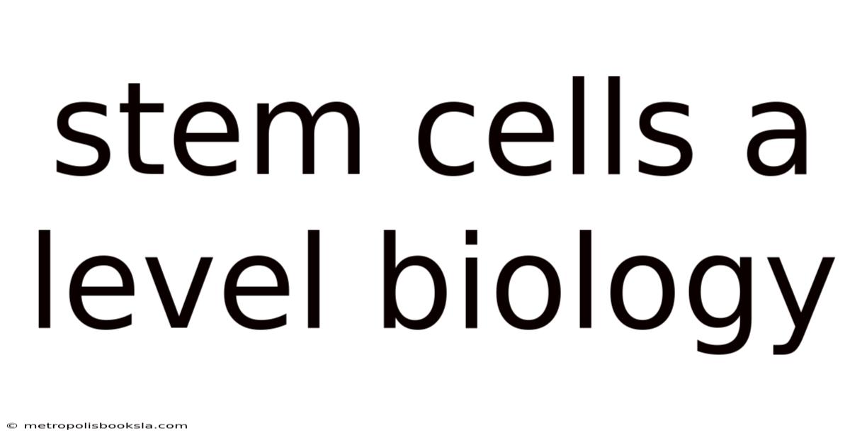 Stem Cells A Level Biology