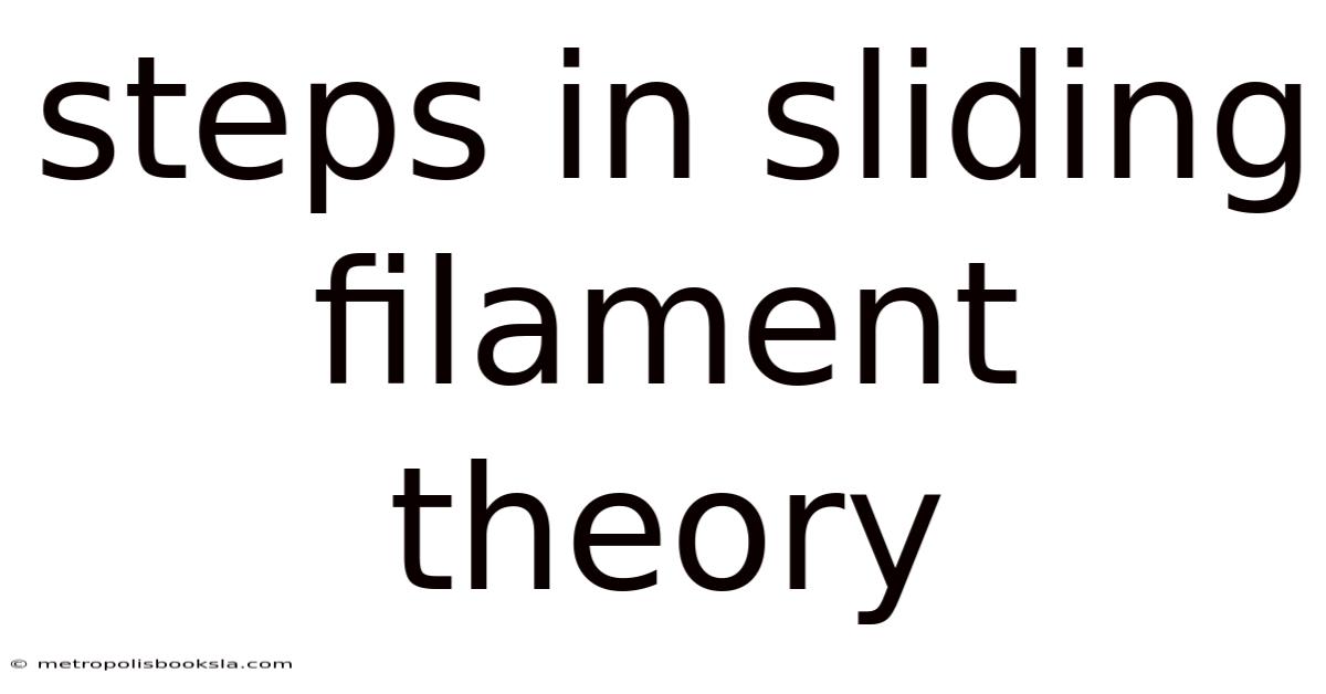 Steps In Sliding Filament Theory