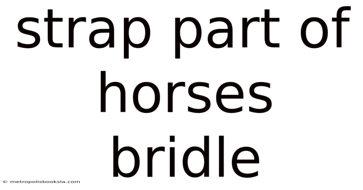 Strap Part Of Horses Bridle