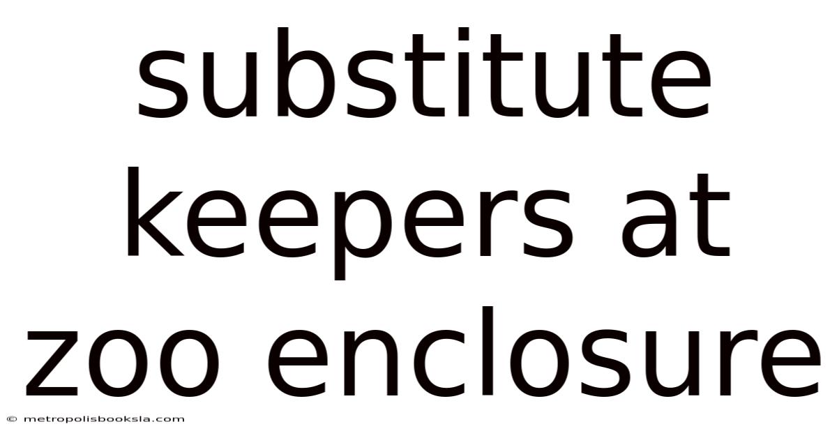 Substitute Keepers At Zoo Enclosure