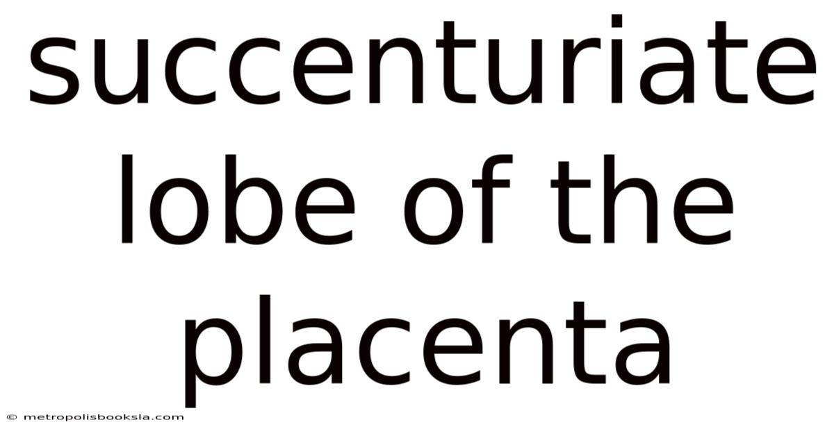 Succenturiate Lobe Of The Placenta