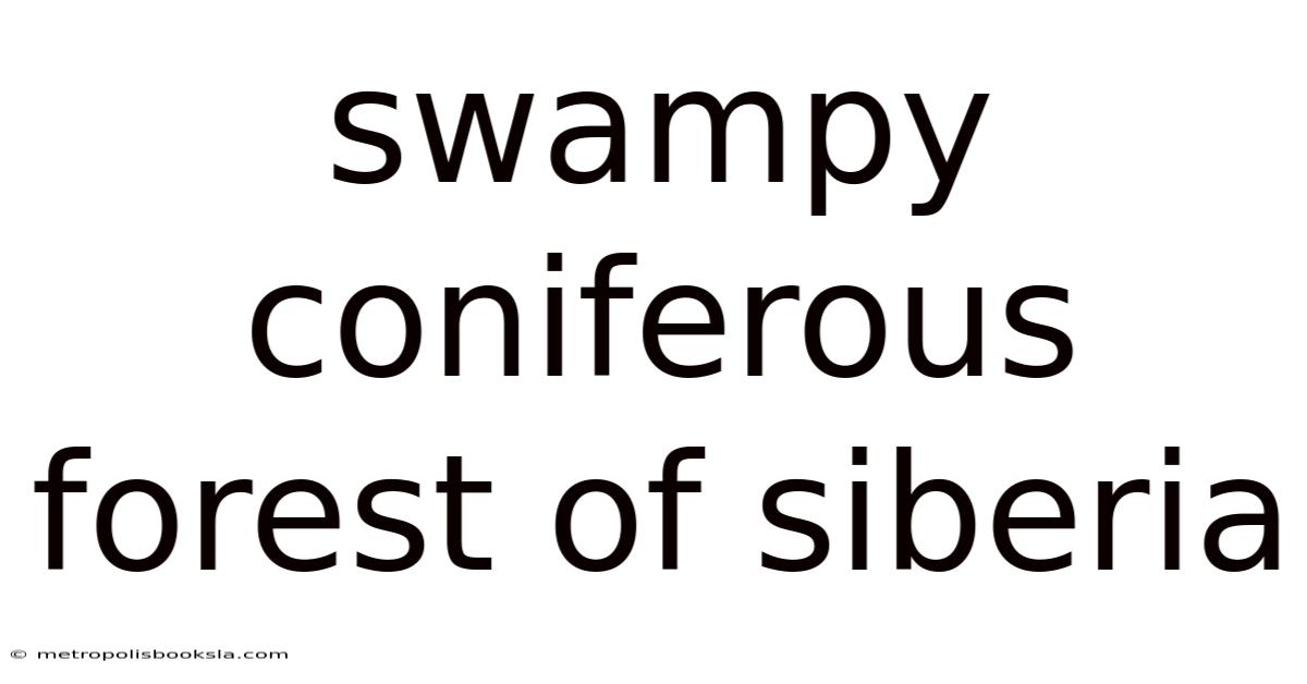 Swampy Coniferous Forest Of Siberia