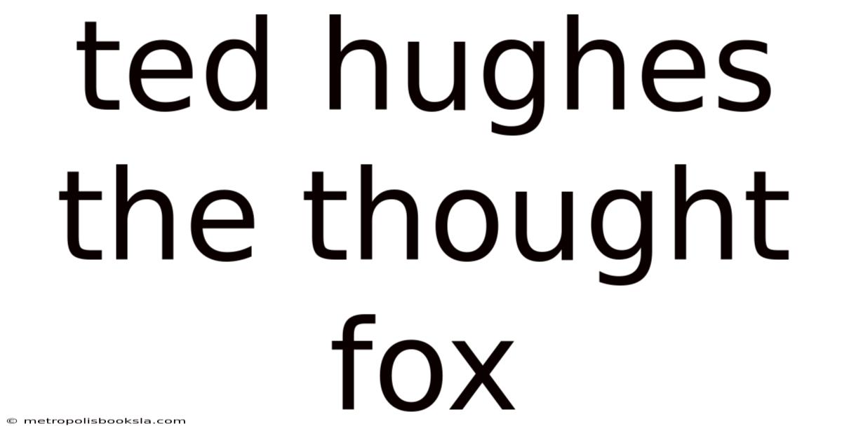 Ted Hughes The Thought Fox