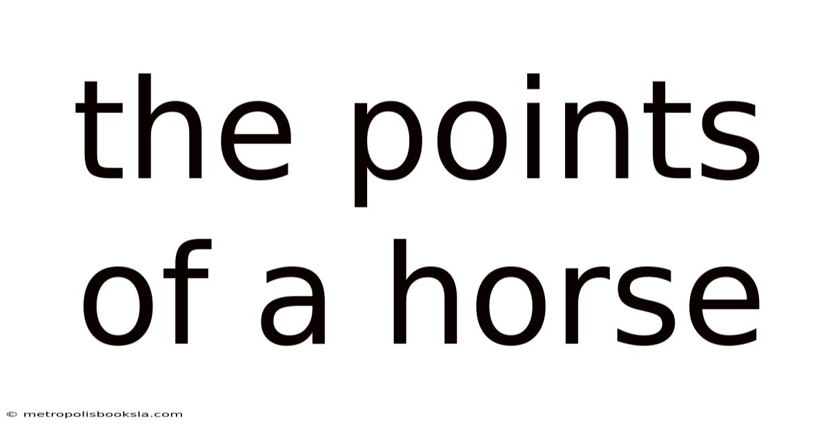 The Points Of A Horse