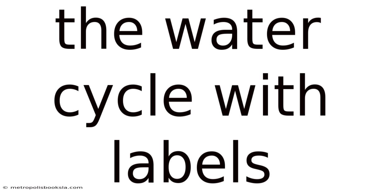 The Water Cycle With Labels