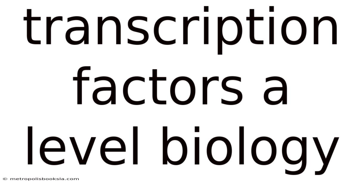 Transcription Factors A Level Biology