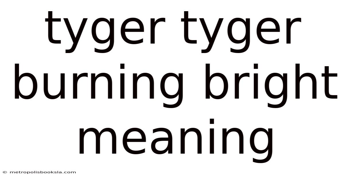 Tyger Tyger Burning Bright Meaning