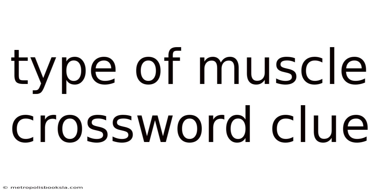 Type Of Muscle Crossword Clue