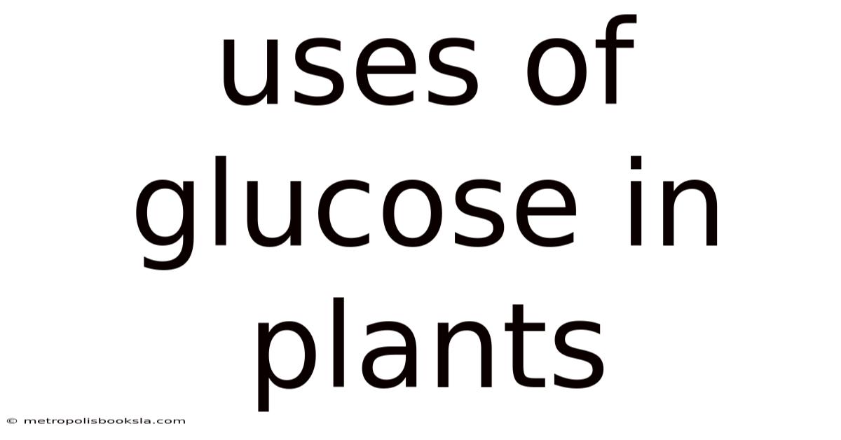 Uses Of Glucose In Plants
