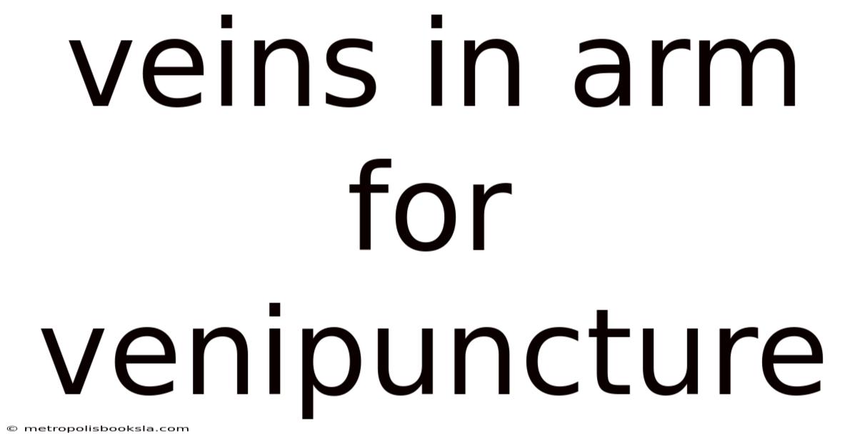 Veins In Arm For Venipuncture