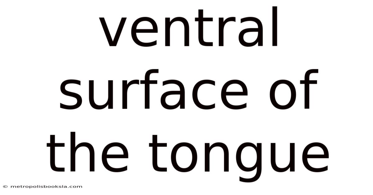 Ventral Surface Of The Tongue