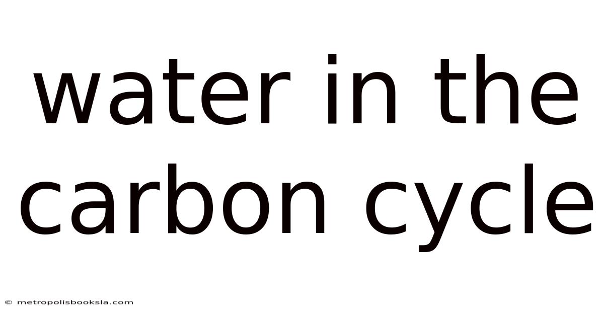 Water In The Carbon Cycle