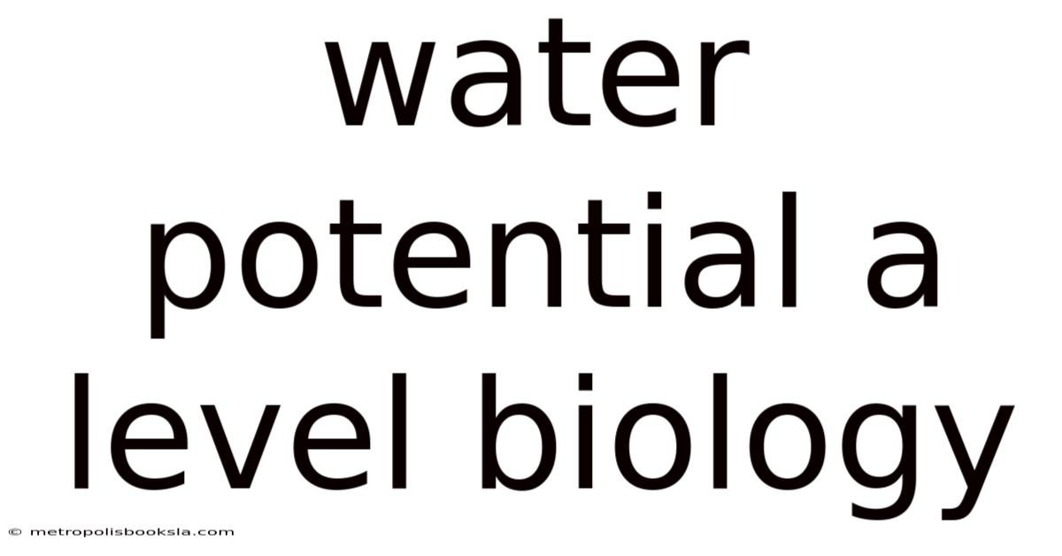 Water Potential A Level Biology