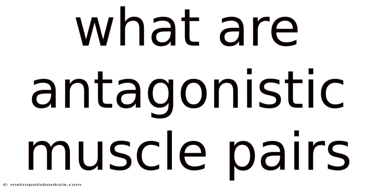What Are Antagonistic Muscle Pairs