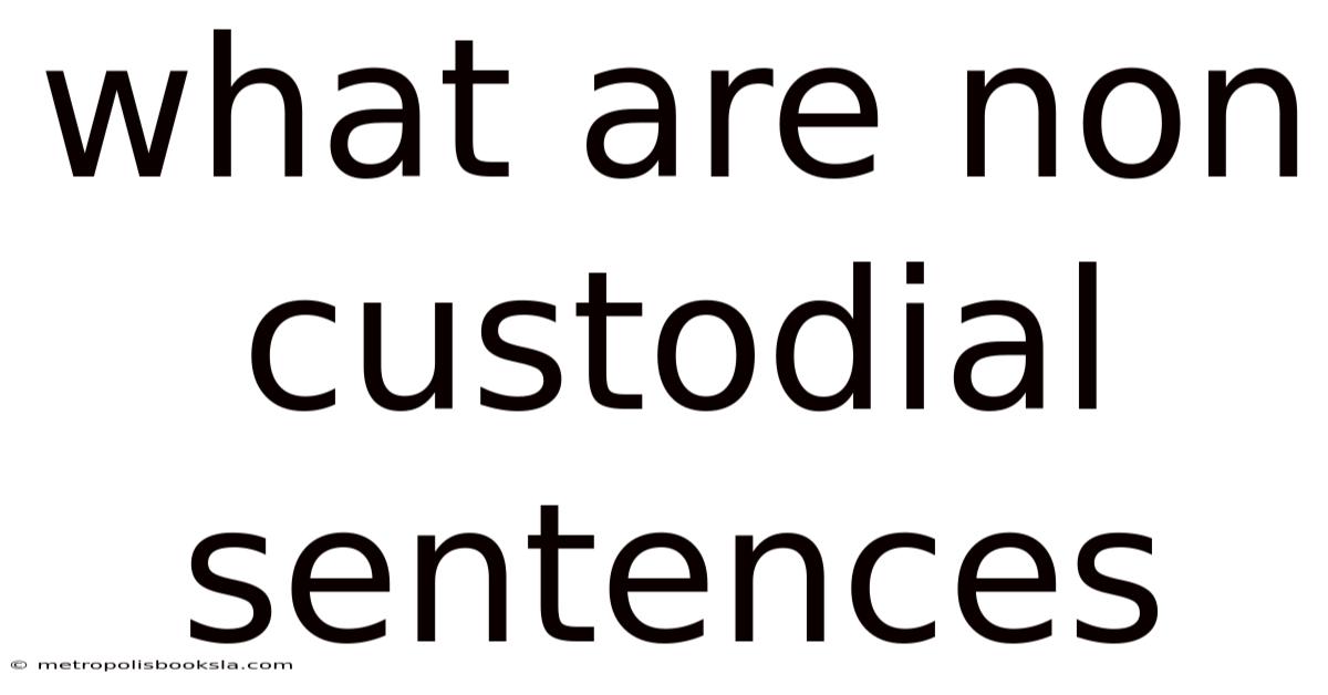 What Are Non Custodial Sentences