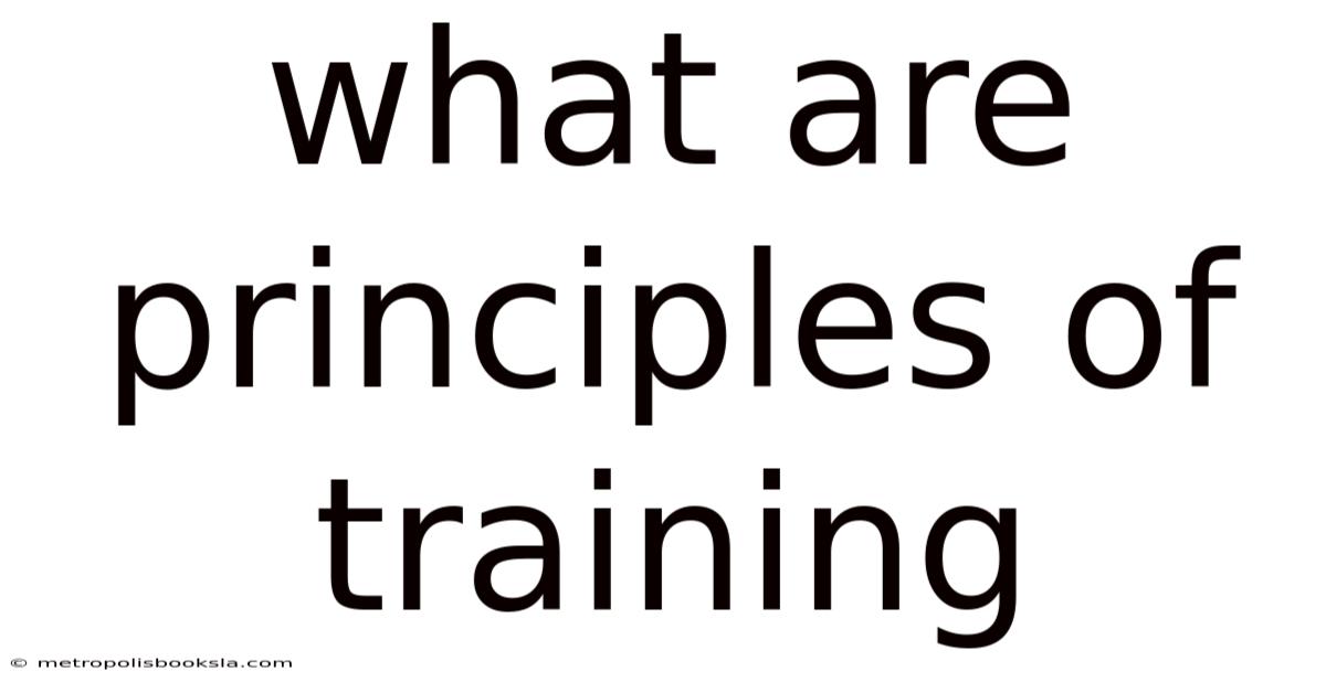 What Are Principles Of Training