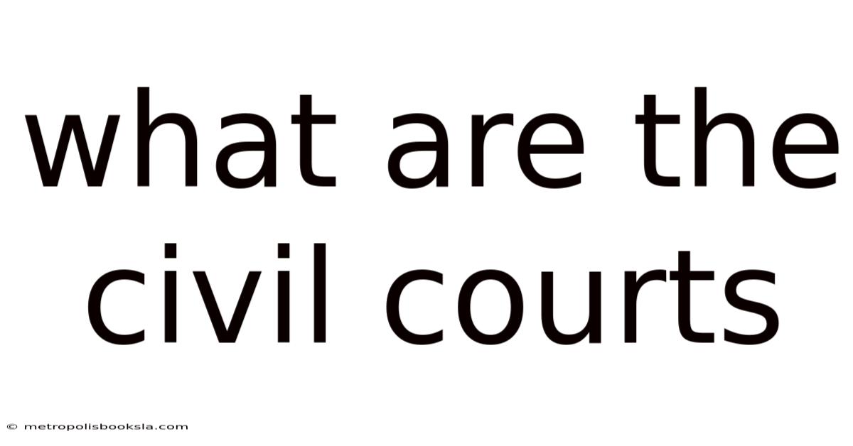 What Are The Civil Courts