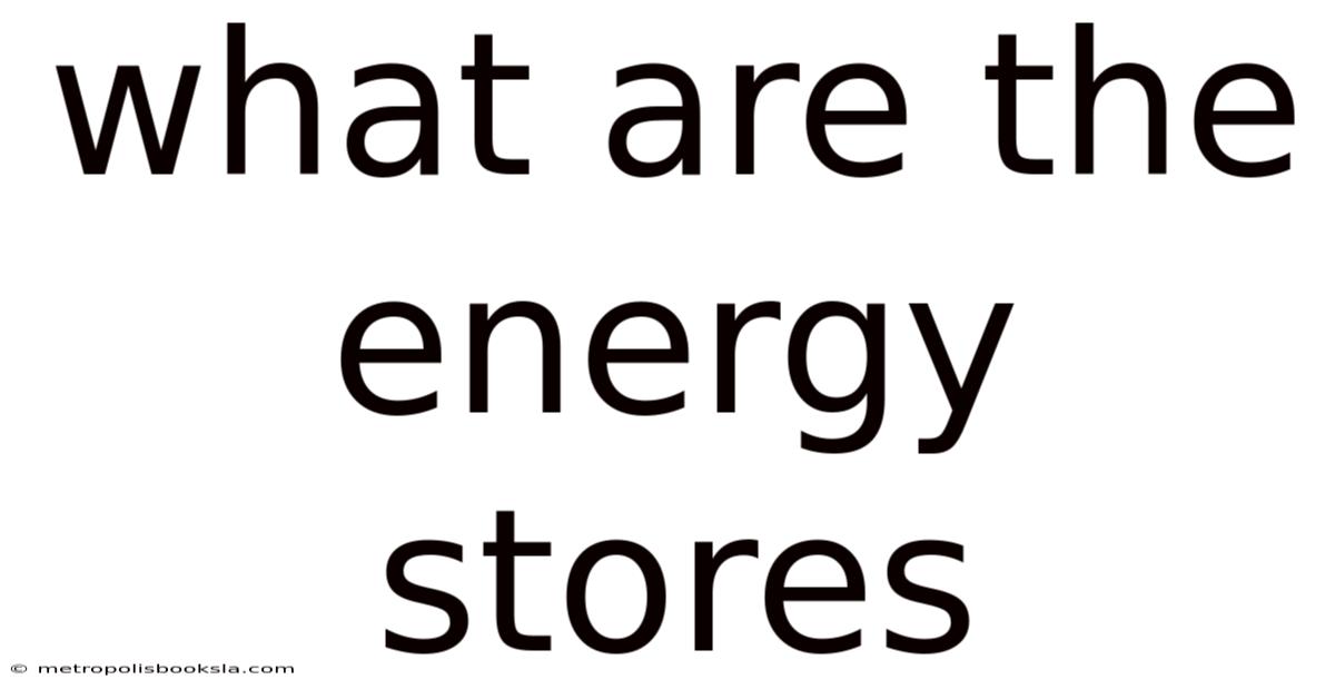What Are The Energy Stores