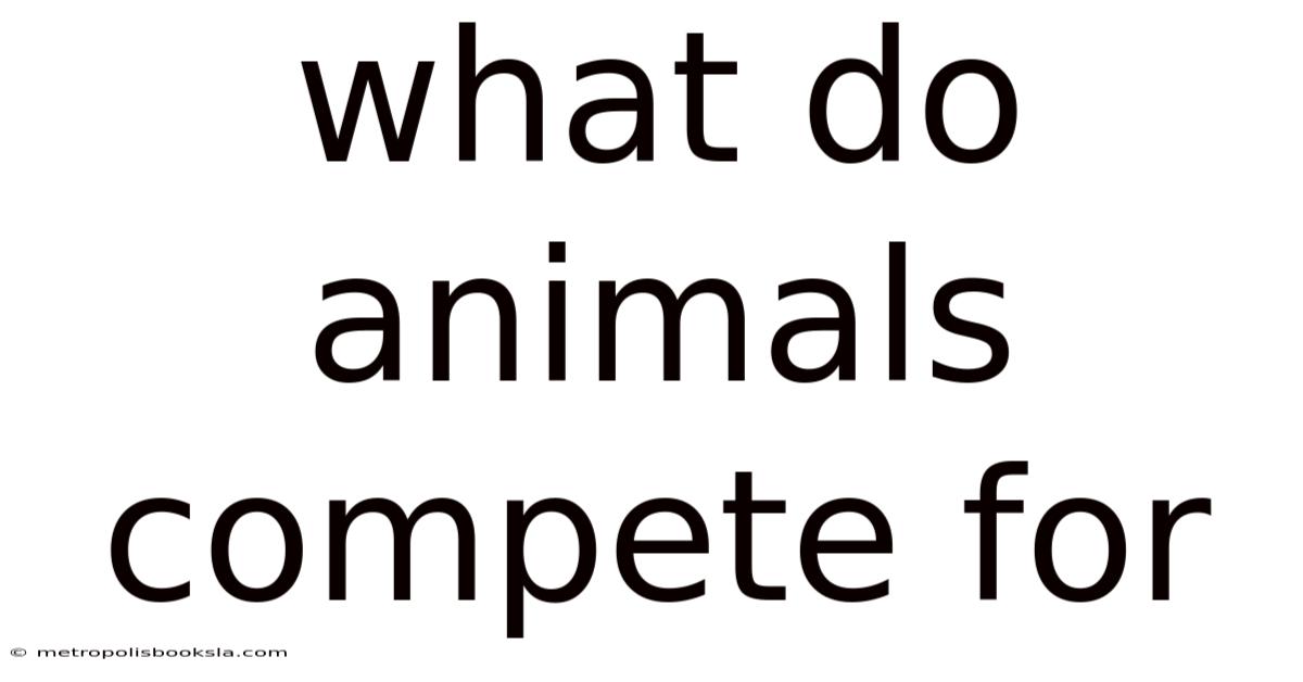 What Do Animals Compete For