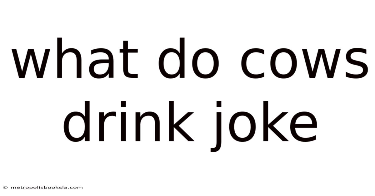 What Do Cows Drink Joke