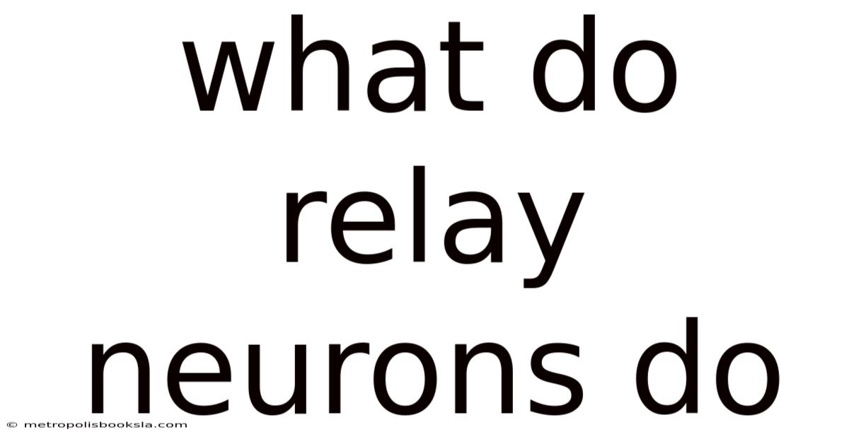 What Do Relay Neurons Do