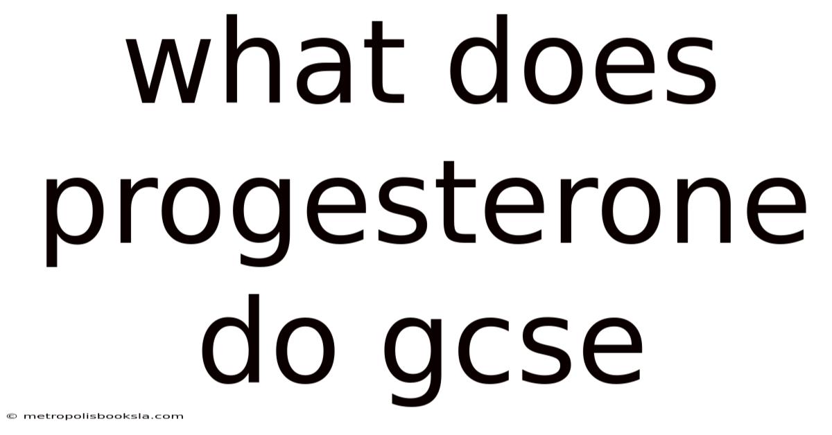 What Does Progesterone Do Gcse