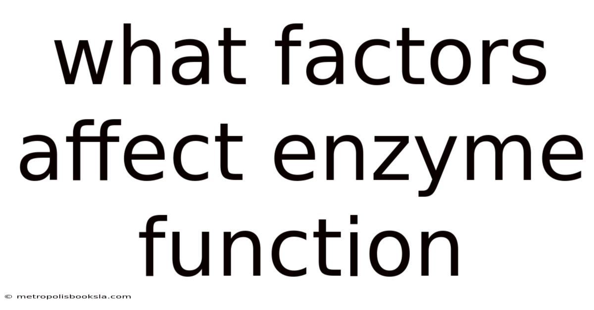What Factors Affect Enzyme Function